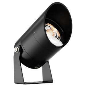 Đèn led chiếu cây 10W BNC-3069R